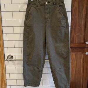 Everlane Utility Barrel Pants